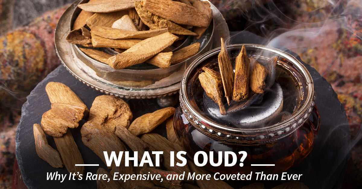 What Is Oud? Why It’s Rare, Expensive, and More Coveted Than Ever