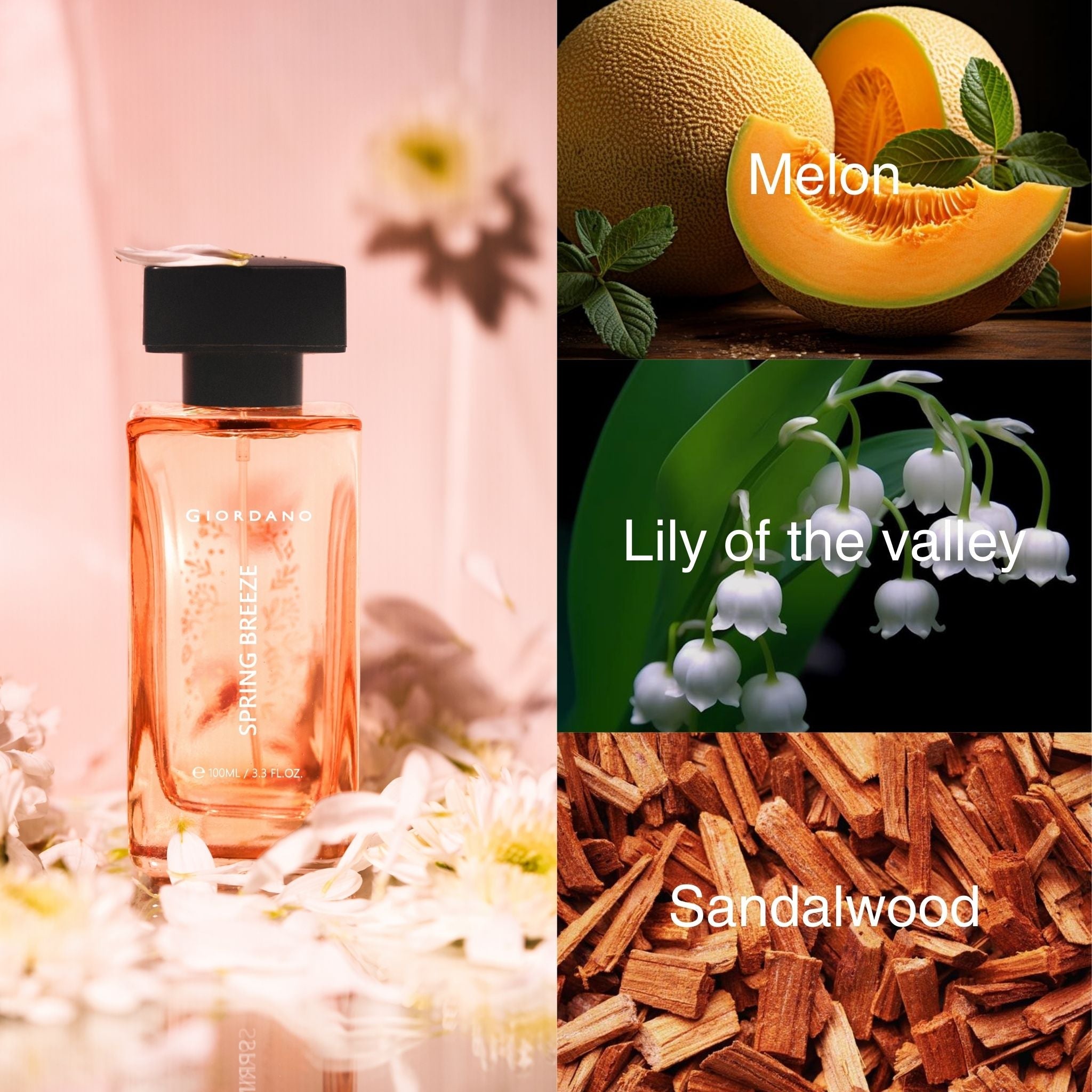 Spring Breeze Eau de Parfum 100ml - Main Image